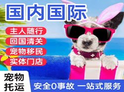 地窝堡机场货运国际宠物托运 【国